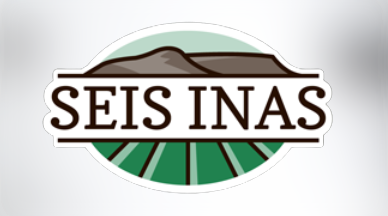 Seis Inas / EGASA SRL