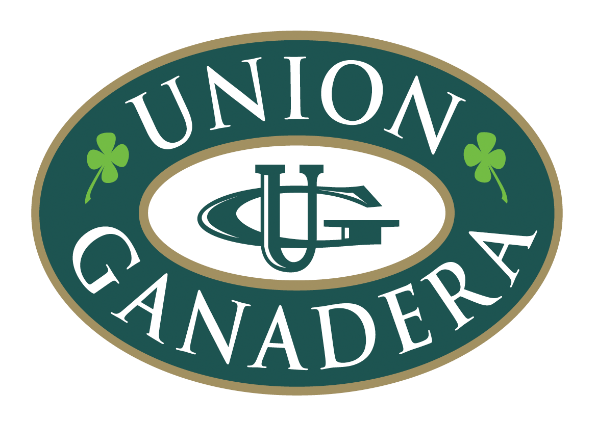 2025. ¿Quién puede resistirse a una milanesa bien crocante? 